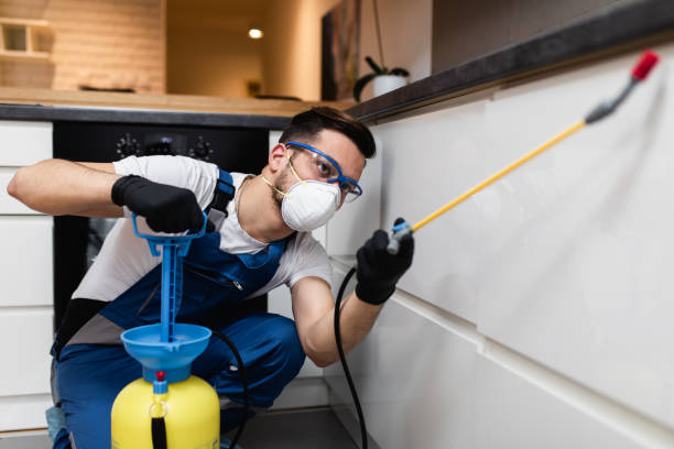 Best Cockroach Control Services  in Covgton, IN