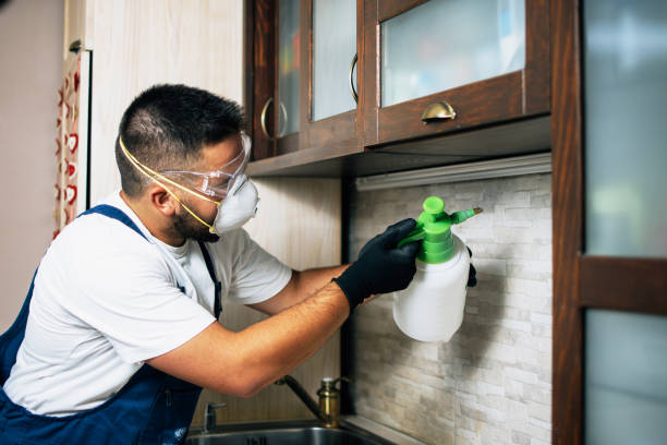 Best Rat Extermination Near Me  in Covgton, IN