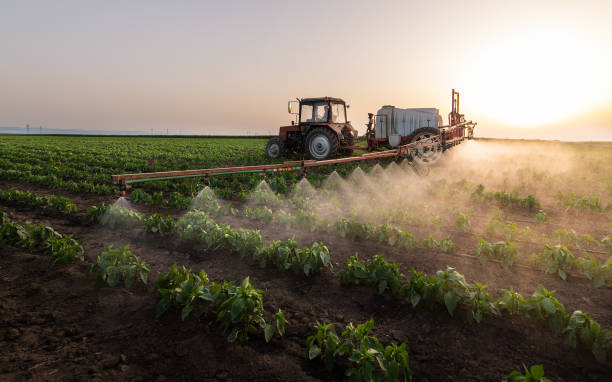 Best Mosquito Control Services  in Covgton, IN