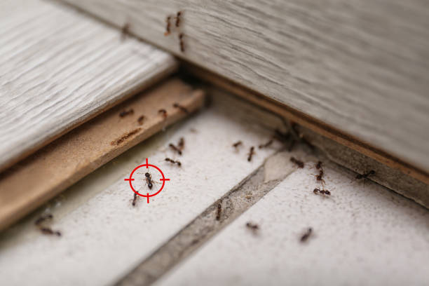 Pest Control for Restaurants in Covington, IN