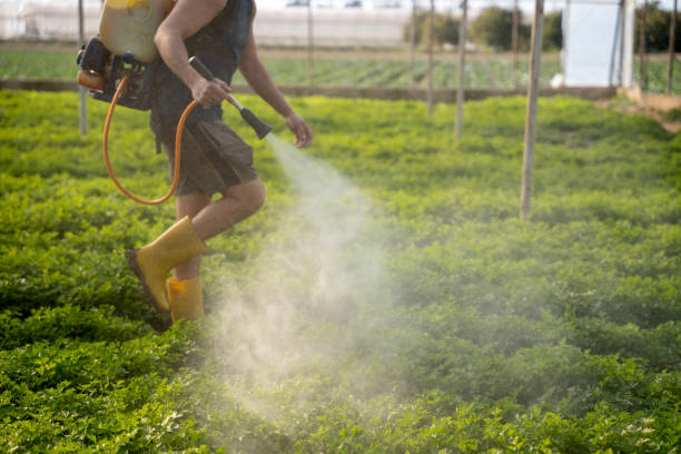 Professional Pest Control in Covington, IN