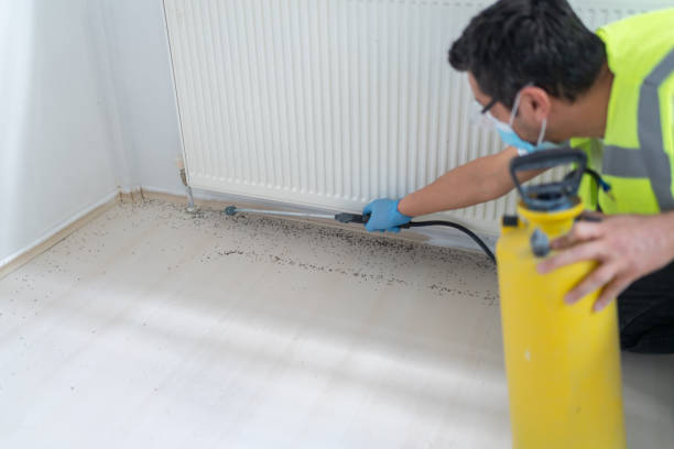 Best Pest Prevention Services  in Covgton, IN